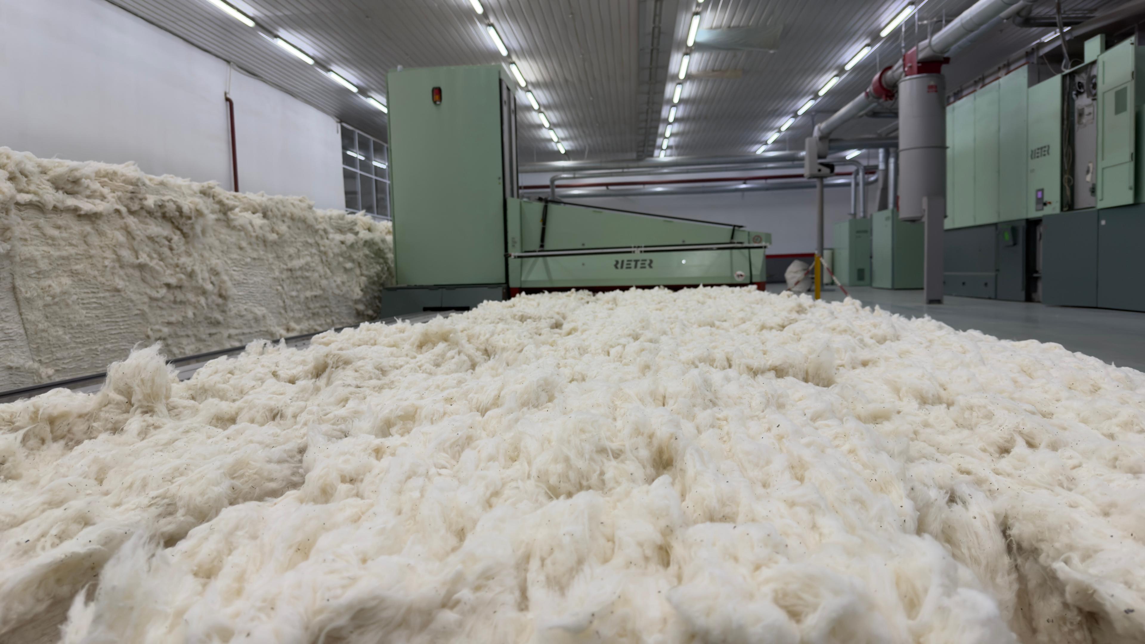Cotton Intake
